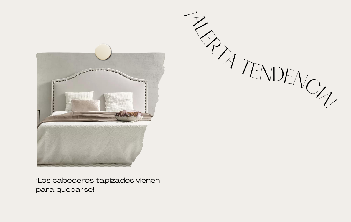 diseno-cabecera-pam-1
