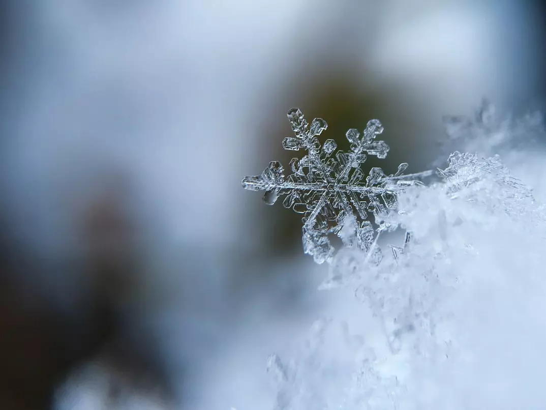 ¡LLEGÓ EL INVIERNO!